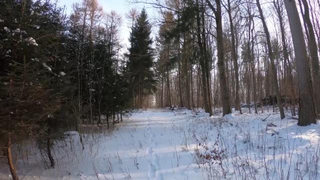 風景影片_雪地奇景 影片